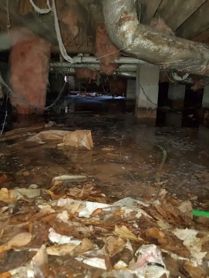 Crawl space flood assessment for Commercial Water Damage Restoration in East Nottingham